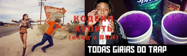 прущие крисы Арсеньев