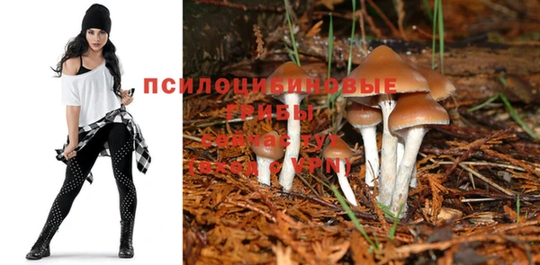 СК Армянск